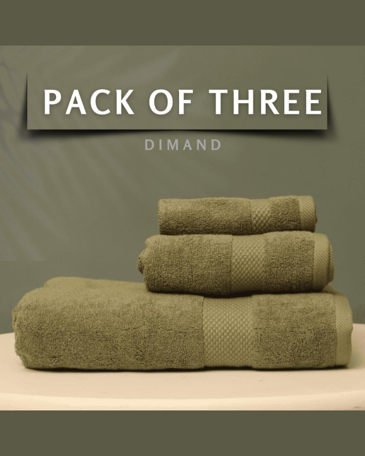 WHITE COMPANY TOWEL SET