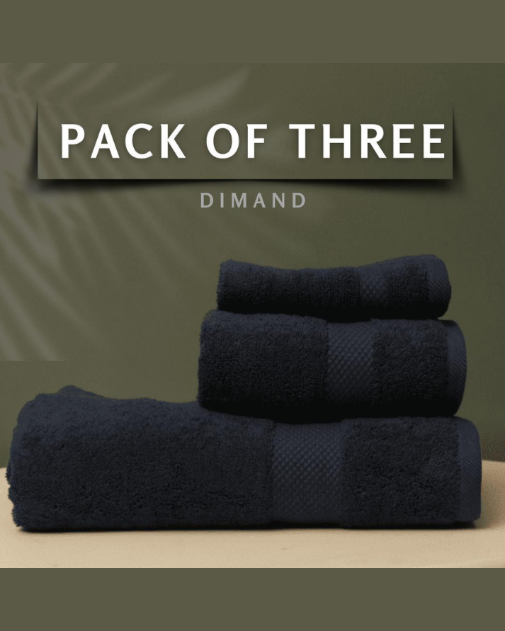 WHITE COMPANY TOWEL SET